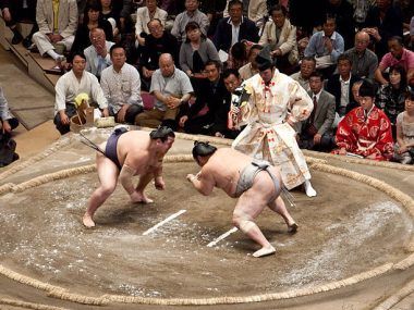 sumo en accion