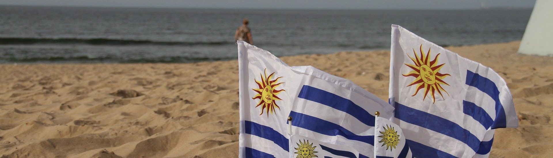 Exportaciones Uruguay Asia