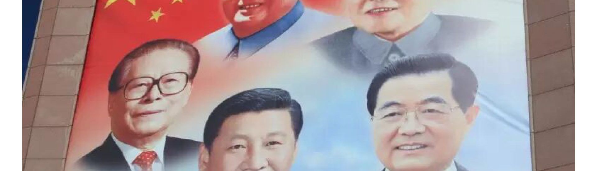 China gato