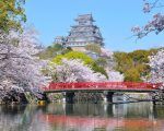 Hanami