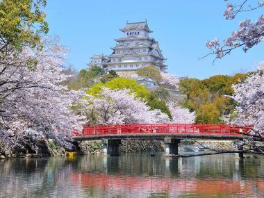 Hanami