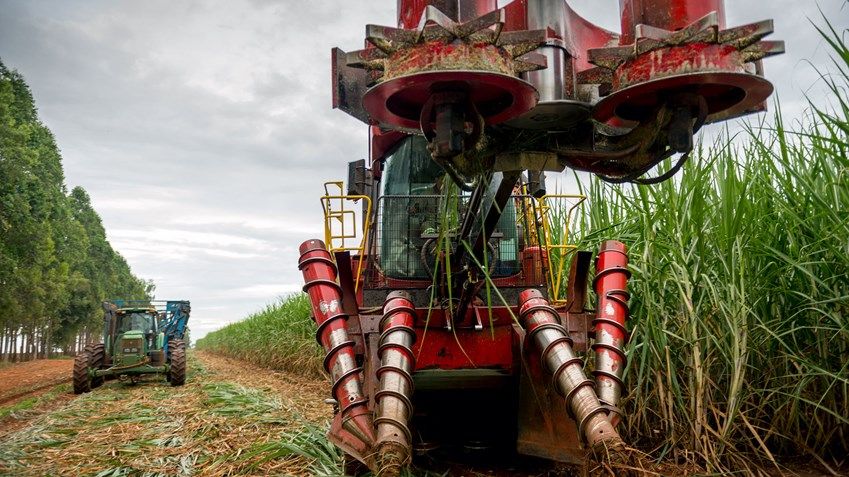 Cofco brasil