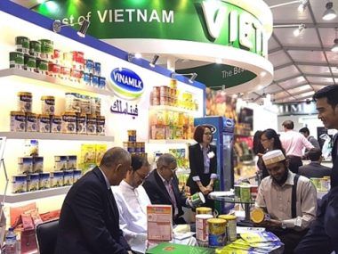 Vietnam TLC
