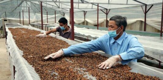 Vietnam Argelia