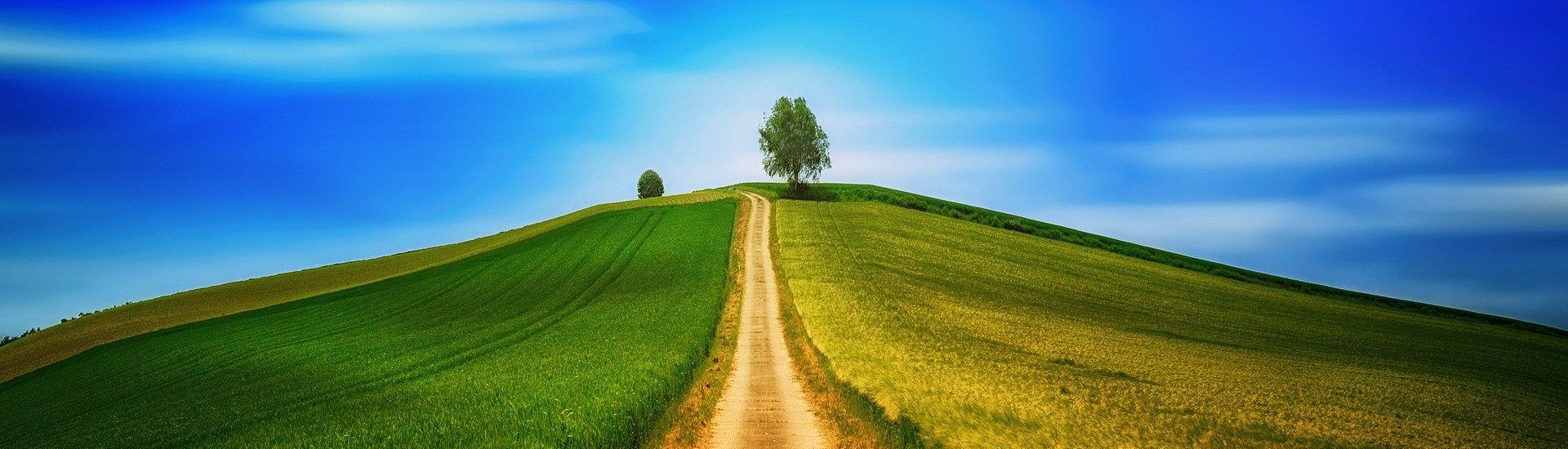 camino india españa