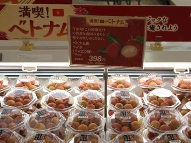 Japón Vietnam