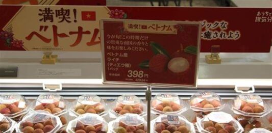 Japón Vietnam