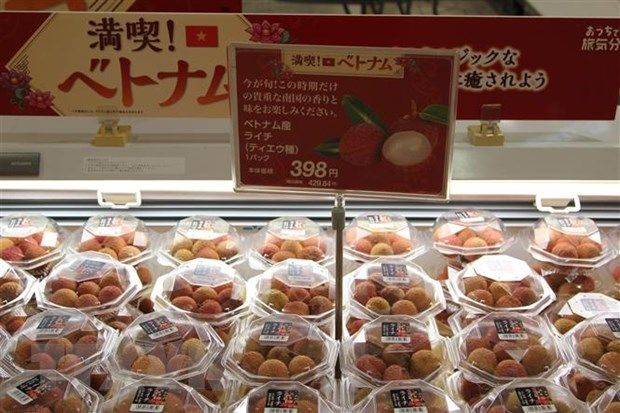 Japón Vietnam