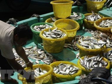 Kien Giang
