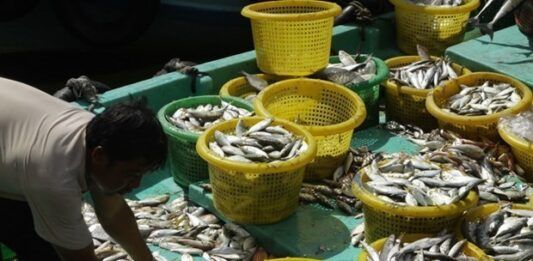 Kien Giang