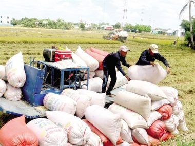 Ue Vietnam Arroz