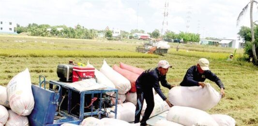 Ue Vietnam Arroz