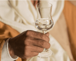 pisco peruano