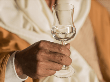 pisco peruano