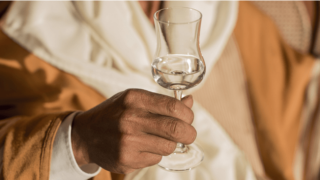 pisco peruano