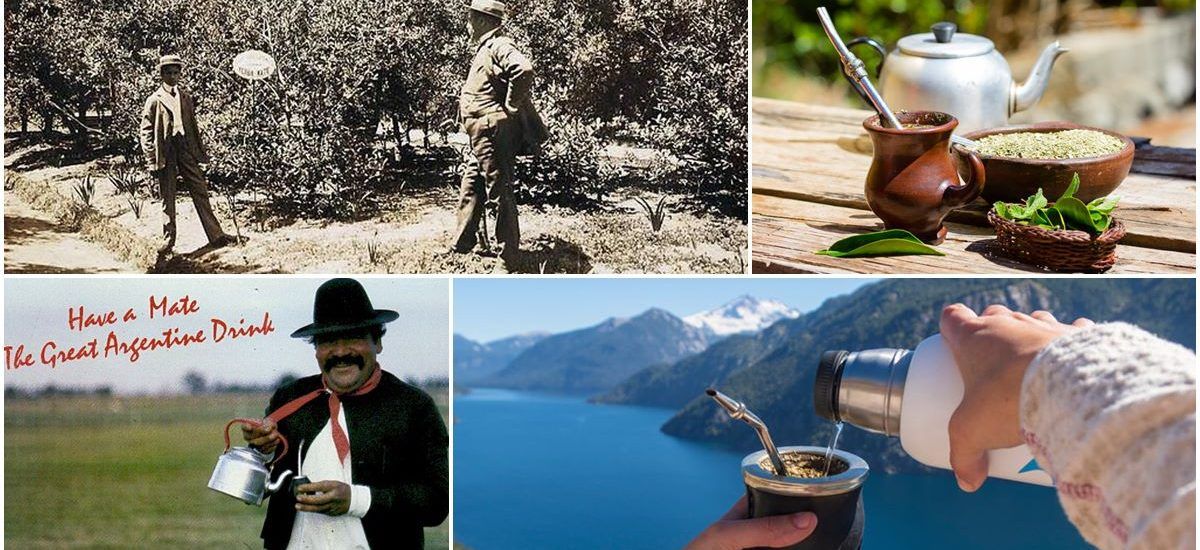 Yerba