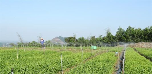 Producción