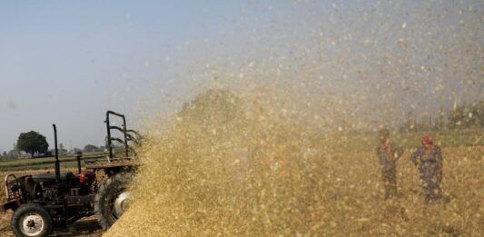 India Arroz