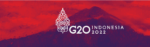 G20