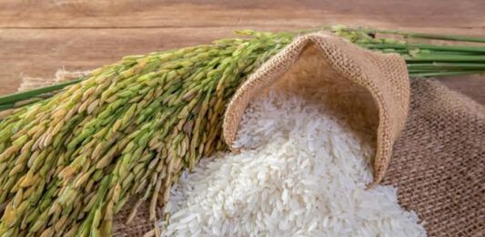 Tailandia Vietnam Arroz