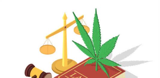 TAILANDIA CANNABIS