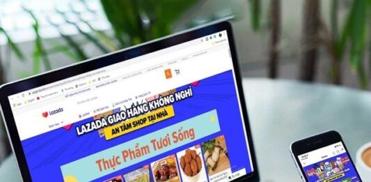 Ingresos Vietnam