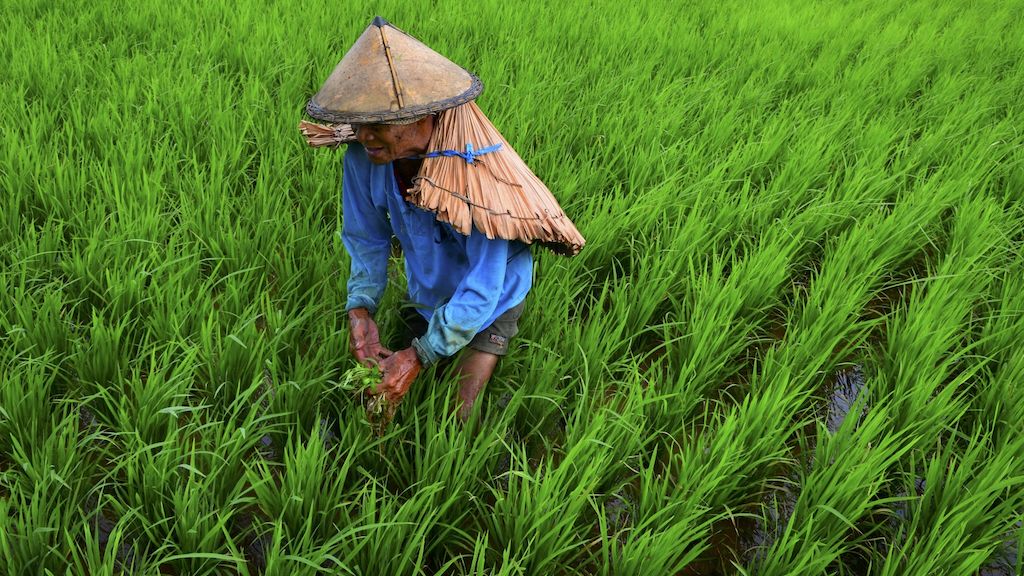 ADB Filipinas