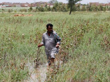 AGRICULTORES PAKISTÁN