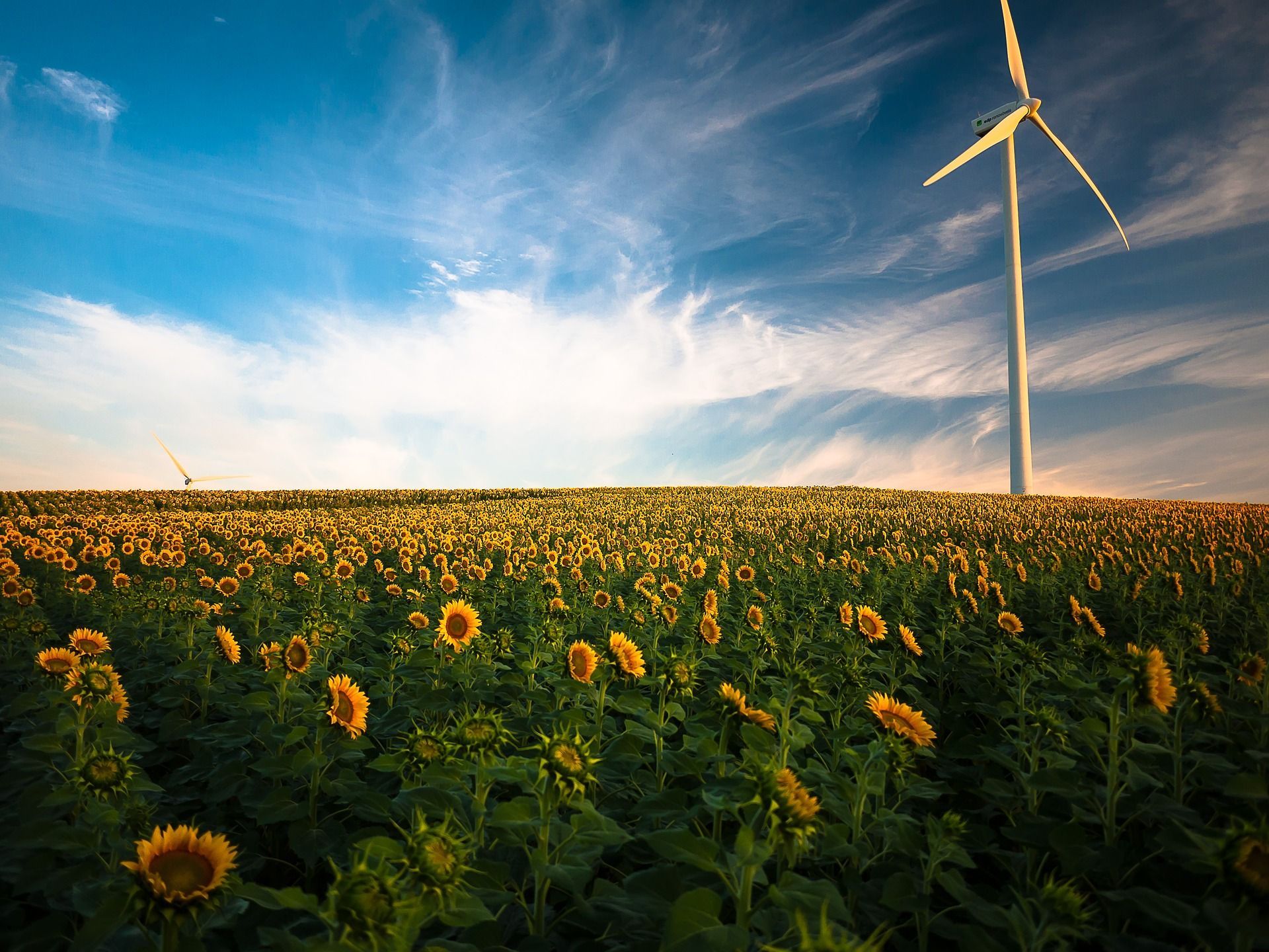 Japón Energía Eólica