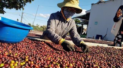 VIETNAM CAFÉ ESPAÑA
