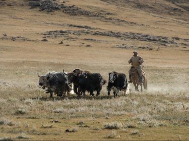 ADB Mongolia