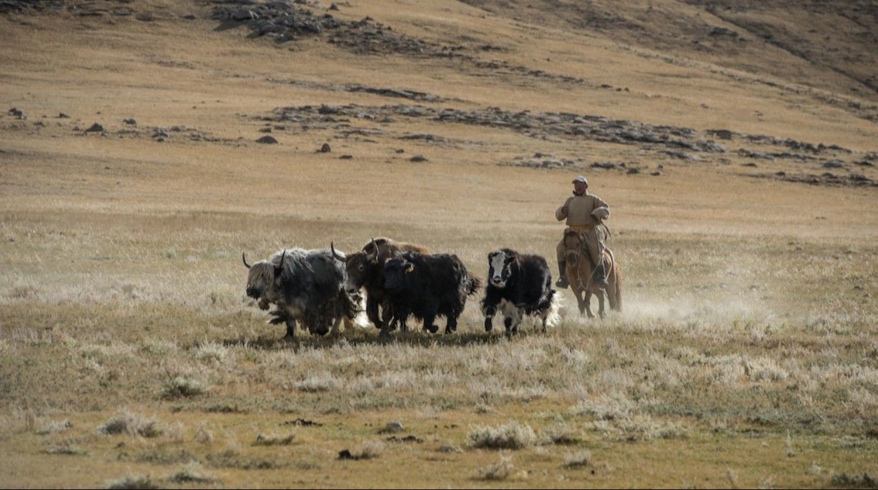 ADB Mongolia