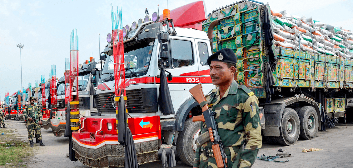 India Trigo