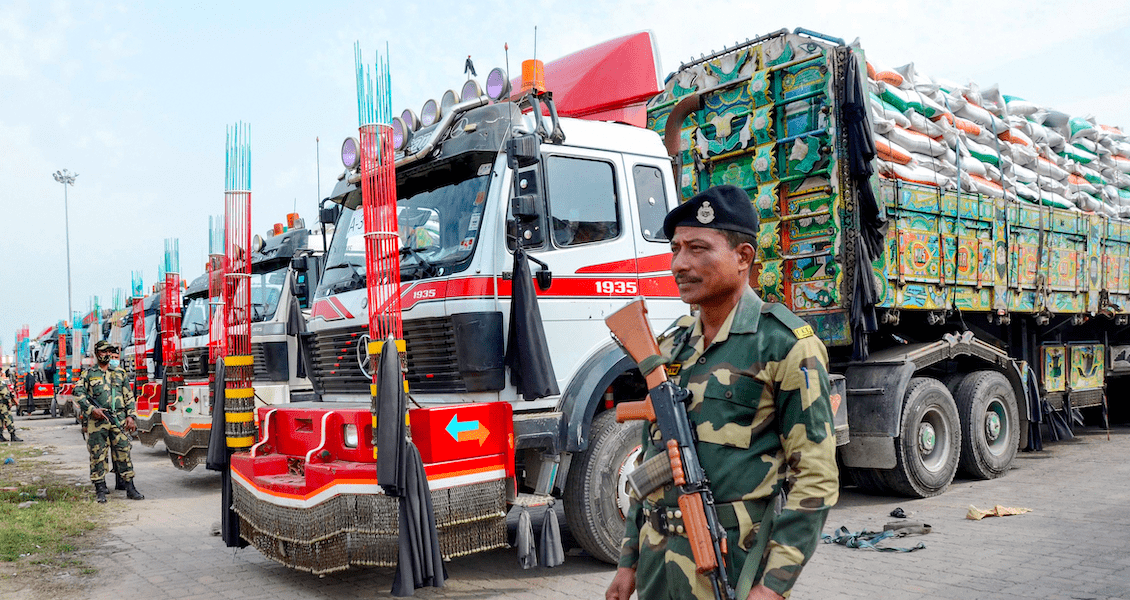 India Trigo
