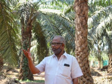 INDIA ACEITE PALMA