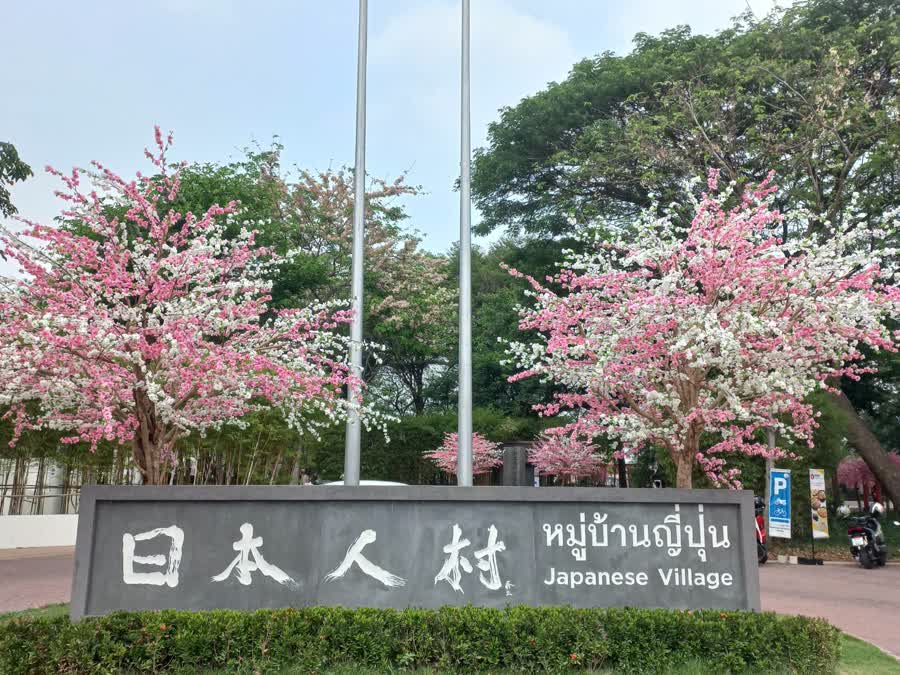 HANAMI