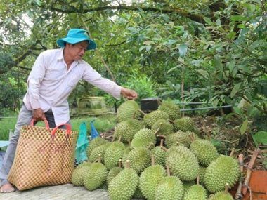 CHINA PRODUCTOS VIETNAMITAS