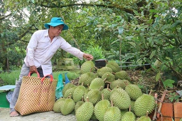 CHINA PRODUCTOS VIETNAMITAS