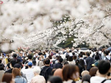 Japón Población