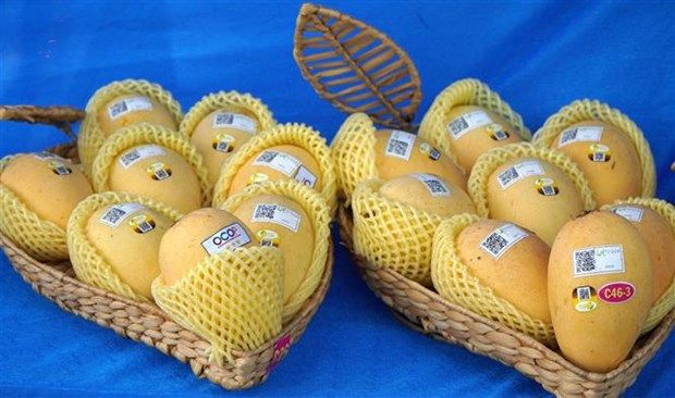 VIETNAM COREA