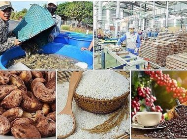 EXPORTACIONES VIETNAM