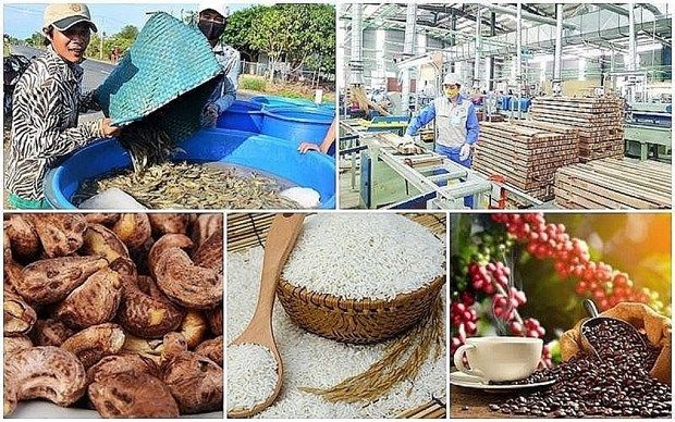 EXPORTACIONES VIETNAM