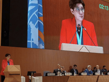 Asamblea Mundial de la Salud