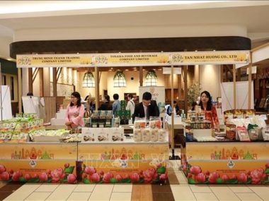PRODUCTOS VIETNAMITAS