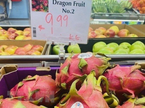 EMPRESAS VIETNAMITAS