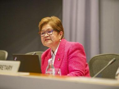 de las Naciones Unidas