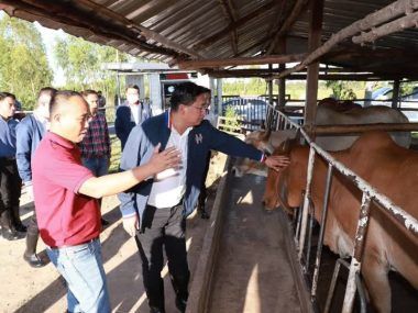 CARNE ASEAN