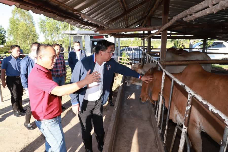 CARNE ASEAN
