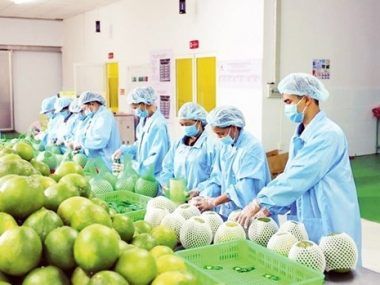 EXPORTACIONES VIETNAM UE