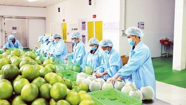 EXPORTACIONES VIETNAM UE
